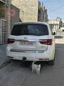 إنفينيتي QX80